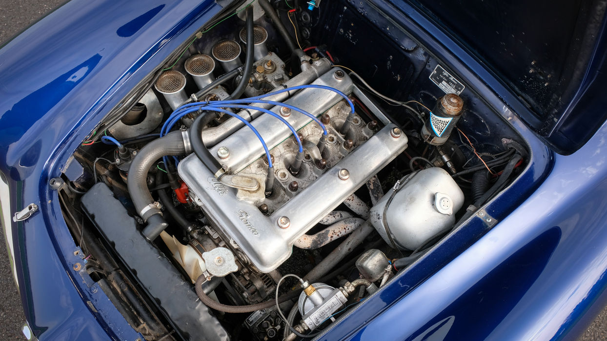 1962 Alfa Romeo Giulia Spider for sale