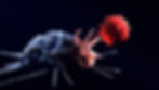 macrophage-tcell 31 (1).jpg
