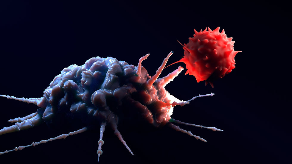 macrophage-tcell 31 (1).jpg