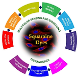 Chemical Society Reviews TOC