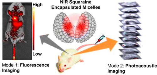 Sqauariane dyes as contrast agents