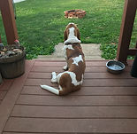 IMG_0318_edited.jpg