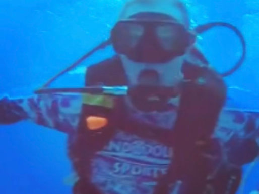 Under the Sea in the Heart of Old Town