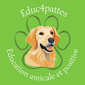 Education amicale et positive