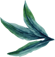 Acuarela Hojas Verdes