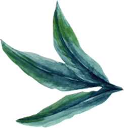 Harmonious Dichotomous Foliage