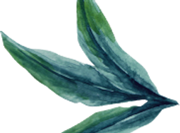 Watercolor Green Leaves