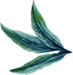 hoja