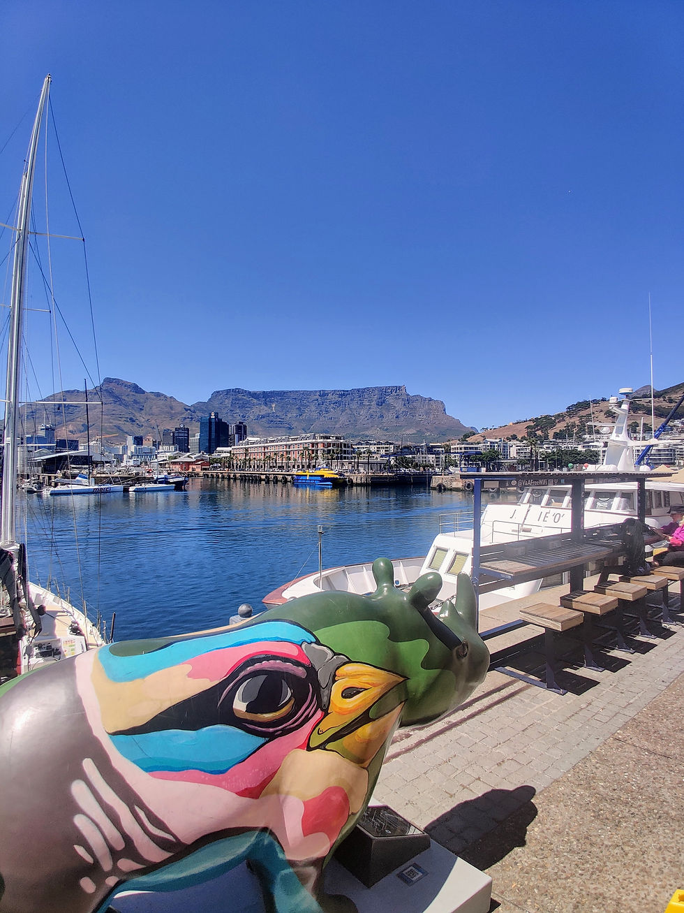 Table Mountain