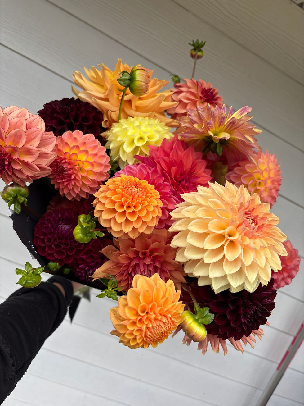 Thumbnail: Lush Bouquet | 19 blooms