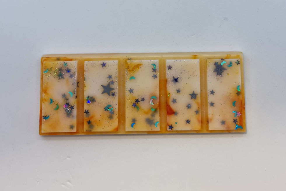 The Enchanted Library Wax Melt Snap Bar