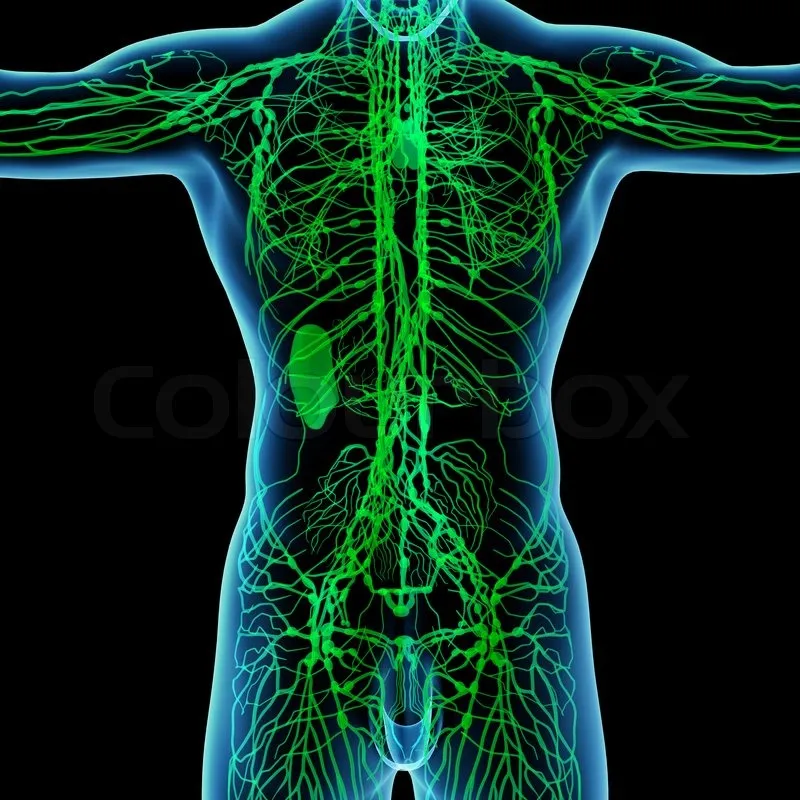 Balanced Harmony Massage