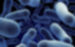 Healthinfi-1.jpg