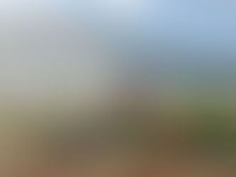 Quelques postures de yoga décodées