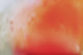image1.jpeg