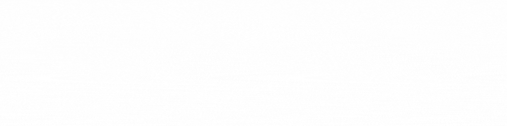 FINAL2 1 LOOP 74 SPEED GIF.gif