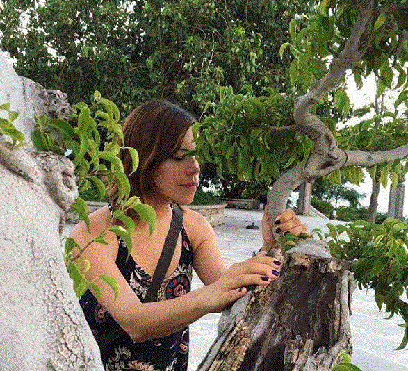 vietnam.gif