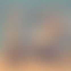 Building a Support Network: Connecting with Others in Recovery