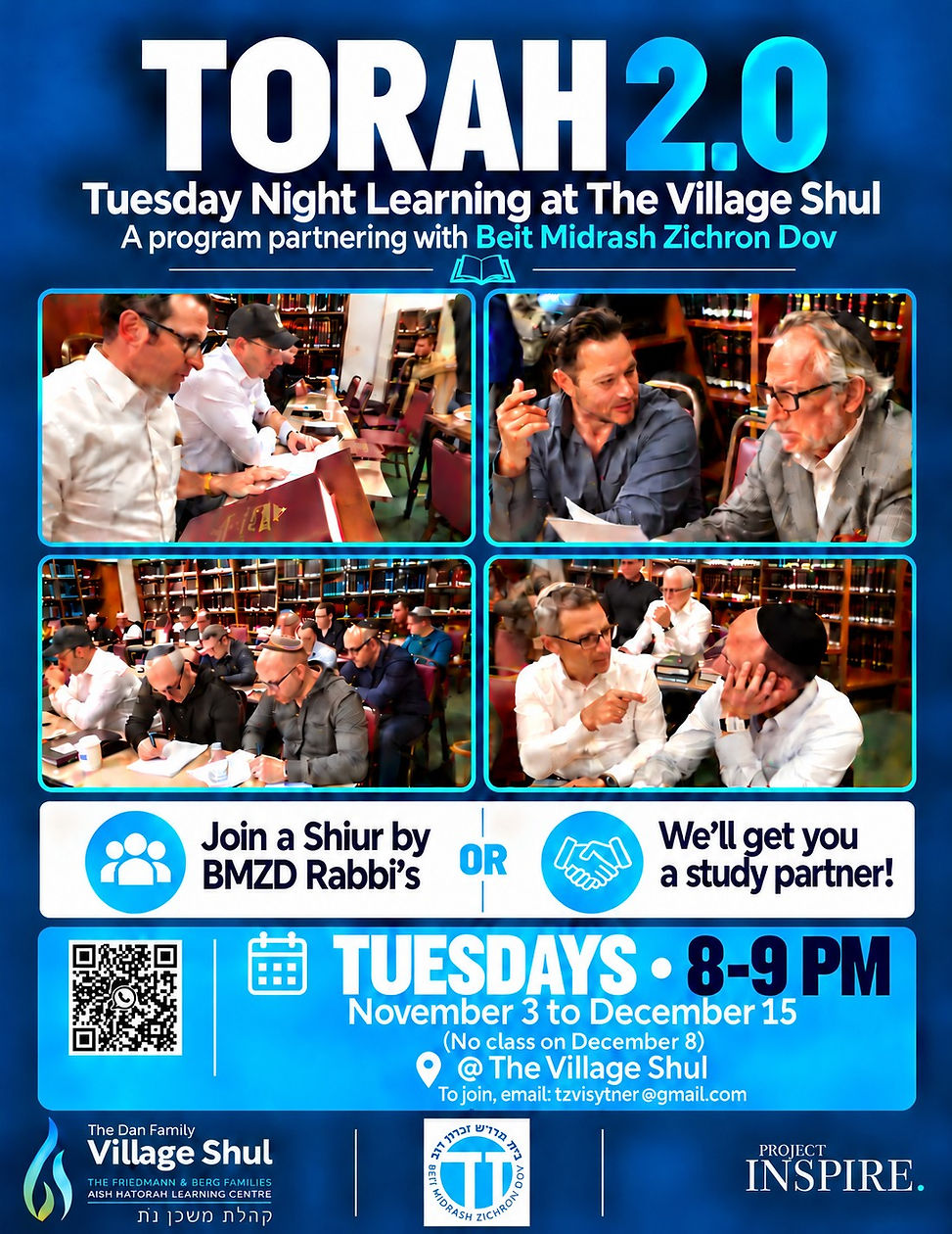 Torah 2.0 with BMZDfinal.jpg