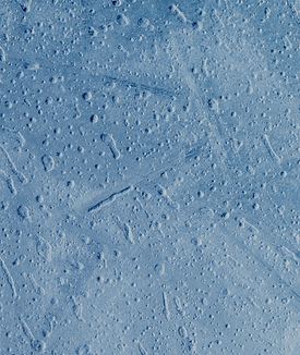 Blue Texture