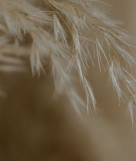 Grain Texture