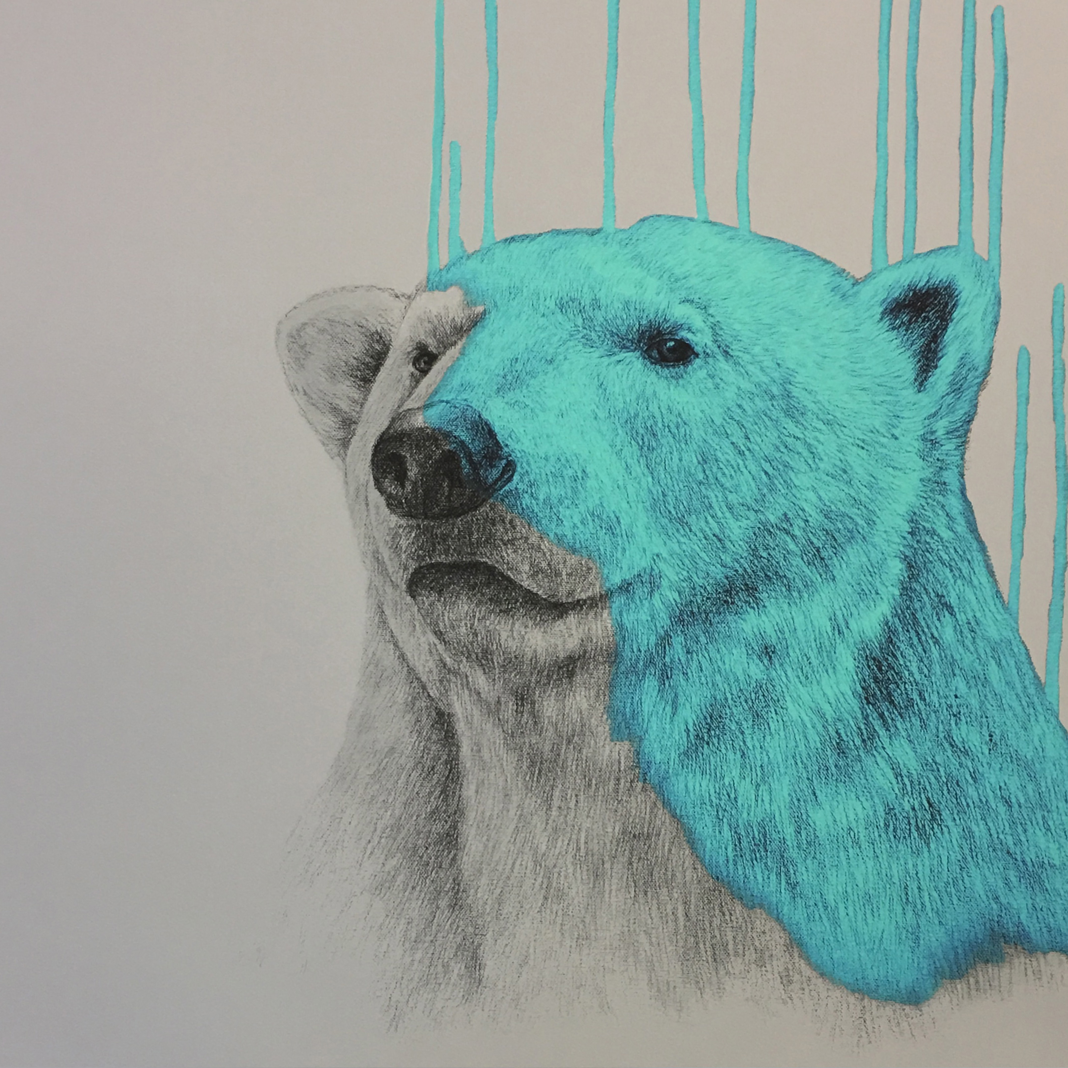 Hey There, Polar Bear - Aqua