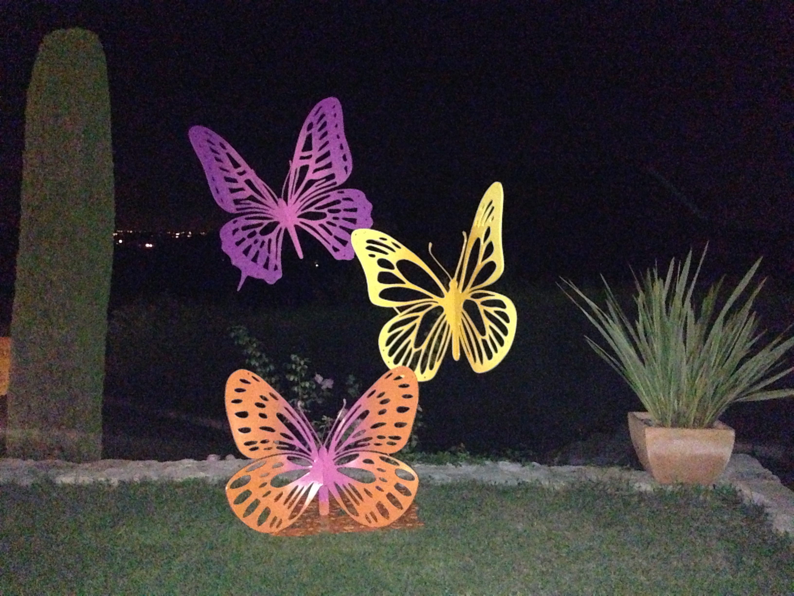 TRIO PAPILLONS MM.jpg