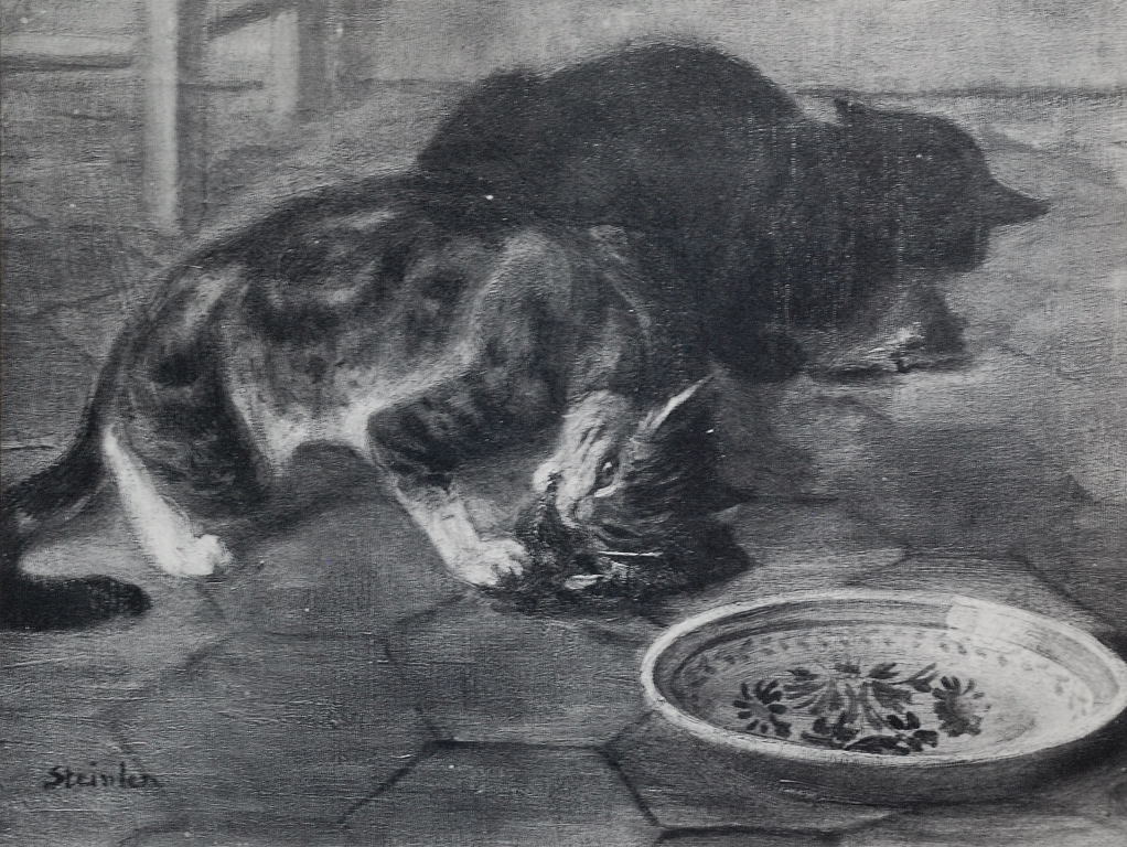 Chats et autres bêtes