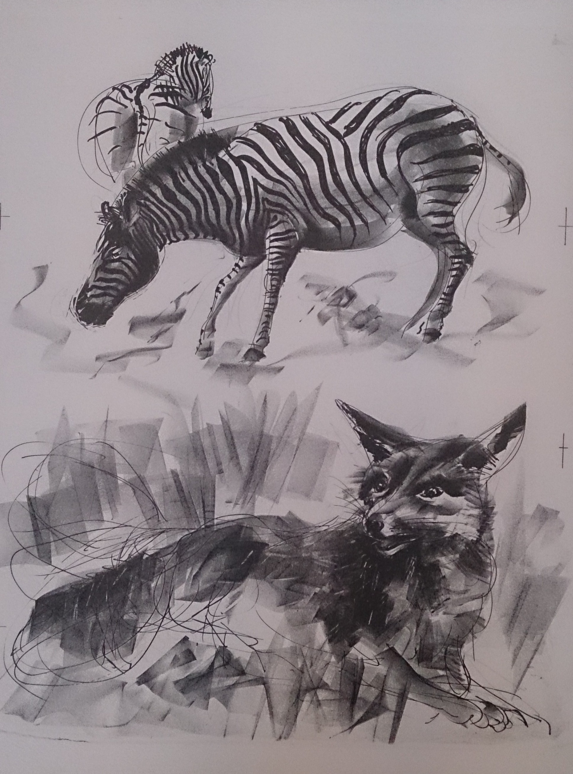 Histoires naturelles