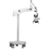 Miniatura: MICROSCOPIO ZUMAX OMS 1950