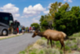 custom rv trips to U.S. Natioinal Parks