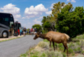 custom rv trips to U.S. Natioinal Parks