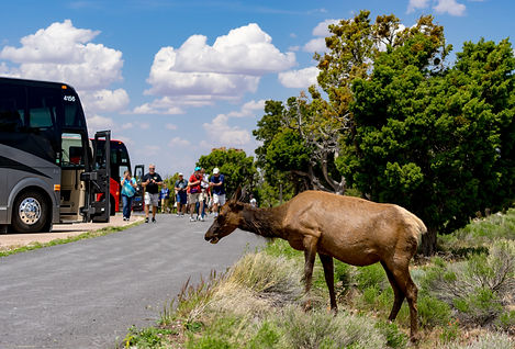 custom rv trips to U.S. Natioinal Parks