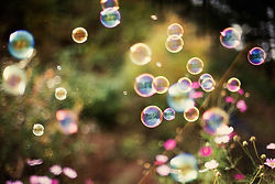 flowernbubble.jpg
