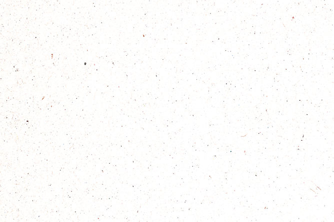 Paper Texture_edited_edited.jpg