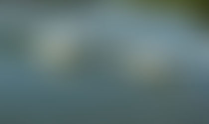 test carnet photo