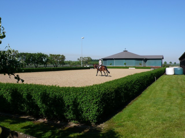 3_der_dressurplatz