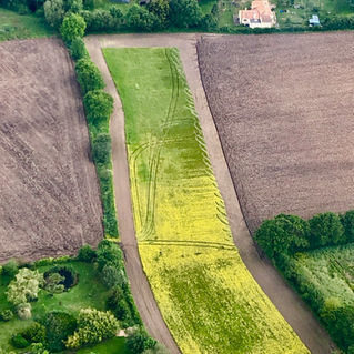 Baptême de l'air ULM