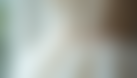 The Risks of Buying Wedding Dresses Online from Budget Websites