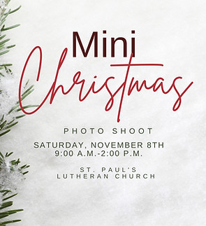Mini Christmas Photo Shoot.jpg