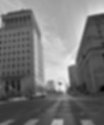 StL_RecoVET