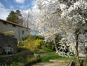 photo accueil.jpg