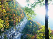 Photo Automne2.jpg
