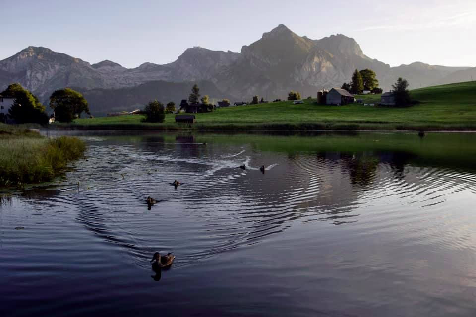 Miniaturbild: Thementage: Handpan – Perkussion & Klangräume (05.06.26 - 06.06.26)