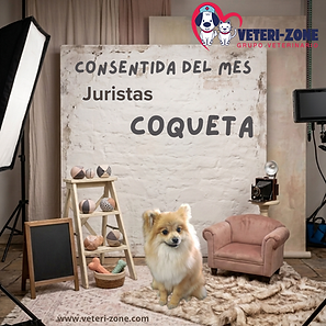 _veteri_zone (16).png