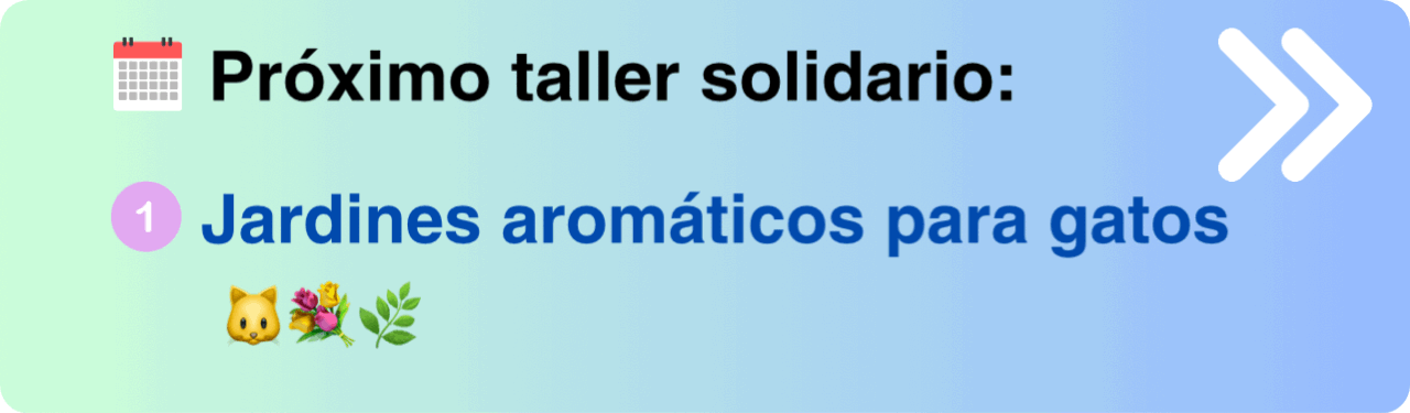 inici web.GIF