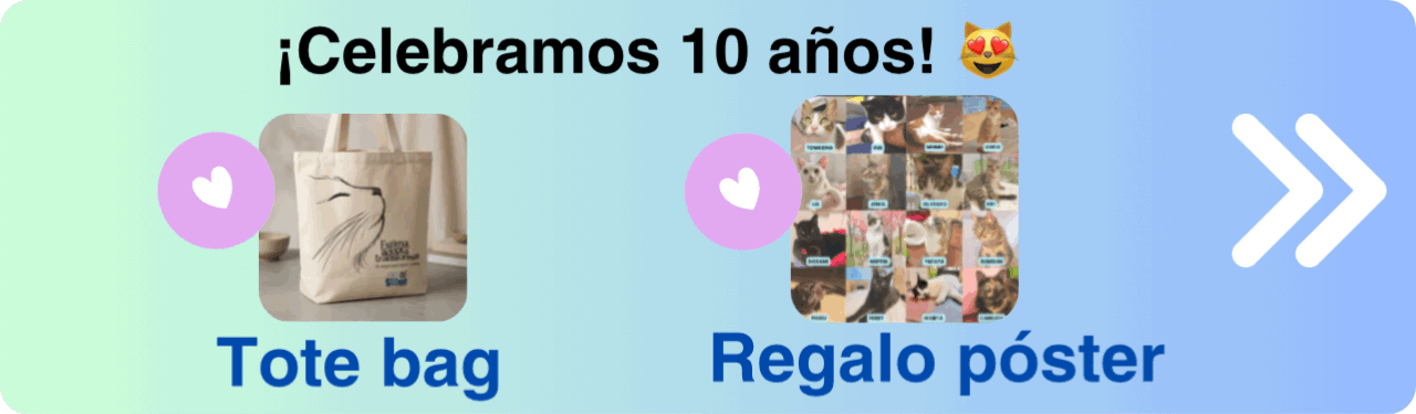 inici web.GIF