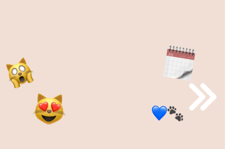 agendes calendaris.GIF