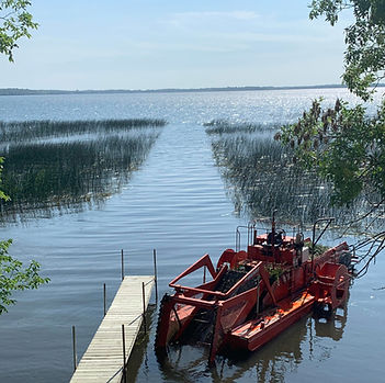 Aquatic harvester