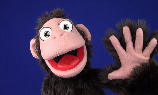 Monkey hi_edited.png